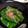 ★こびと★'s cooksnap of when they made オクラの煮浸し　柚子こしょう風味.