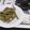 hozunyam's cooksnap of when they made 【十勝一年生】こごみの刺身.