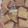 耳ねこ's cooksnap of when they made 米ぬかクッキー1.