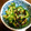 チビ太のおでん's cooksnap of when they made ゴーヤの塩昆布和え.
