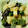 Peace82's cooksnap of when they made ナスとオクラと長いもの生姜醤油和え.