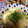 味魔女's cooksnap of when they made いわしのつみれ.