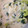 piyo★piyo's cooksnap of when they made 簡単☆たっぷり野菜と豚のクリーム煮.
