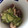 sacoharu's cooksnap of when they made タコときゅうりの酢の物.