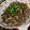 ♥はる♥'s cooksnap of when they made 牛ごぼう炒め.