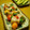 ろろみや。's cooksnap of when they made しし唐とプチトマトのソテー.