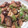 けろにゃ's cooksnap of when they made 夏野菜のオイスターソース炒め.