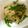 2児ママみきてぃ's cooksnap of when they made 塩昆布でそうめんチャンプルー.