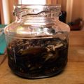tenne's cooksnap of when they made 万能薬味 ミョウガ漬け.