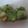 オユカッチ's cooksnap of when they made お手軽♡麩アイス～大麦若葉入り.
