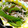 るん♪るん♪♪'s cooksnap of when they made 簡単！ピーマンとじゃこの甘辛炒め.