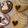 チャヴェズ's cooksnap of when they made プレゼントに！ネコのアイシングクッキー.