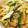 shantiiiii's cooksnap of when they made 茄子と胡瓜の生姜ゆずpon炒め.