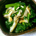 なびぃ025's cooksnap of when they made つるむらさきと舞茸のおひたし.