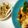 VFA's cooksnap of when they made ナスとピーマンと豆腐の味噌煮丼.