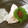 kana叶's cooksnap of when they made 簡単！レンジ白身魚酒蒸し梅肉タレを添えて.