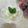 miyuki12's cooksnap of when they made 簡単☆りんごの豆腐アイス.