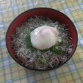ラリー＆サラ's cooksnap of when they made 子供大好き～*しらす丼*.