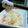 サンソン's cooksnap of when they made 炊飯器で簡単！白菜ベーコンライス.