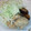 mac♬'s cooksnap of when they made 簡単 鶏むね肉でしょうが焼き.