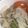 kaniico's cooksnap of when they made 減塩★豚肉とレタスの酒蒸し.