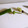 uguisumam's cooksnap of when they made 【簡単！調理の技♪】ししとうの種の取り方.