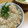 miyokok's cooksnap of when they made 鮭とえのきの炊き込みご飯.