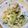Satoco❋'s cooksnap of when they made さっぱりかにかまゴーヤサラダ.