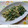 ちょこ☆ちょこ's cooksnap of when they made ✿朝食に簡単♪塩こんぶと水菜の卵とじ✿.