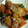 はらぺこウサギのママ's cooksnap of when they made すし酢で簡単★厚揚げの酢豚風！.