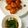 カナティー☆'s cooksnap of when they made 胸肉チキンカツさっぱりおろしのせ.