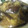 めぐ1's cooksnap of when they made *なすびとピーマンの旨煮*.