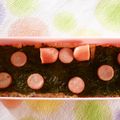 berry_a's cooksnap of when they made ミニーちゃんっぽい簡単海苔キャラ弁デコ弁.
