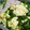 Rick_t's cooksnap of when they made 卵とニラの肉炒め.
