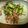 だーしゅ's cooksnap of when they made オクラとグリーンアスパラのベーコン炒め.