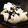 みにコ's cooksnap of when they made キャベツの塩昆布和え！.