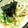 キョク's cooksnap of when they made ＊基本の丼モノの煮汁＊.