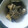 ☆しいたんママ☆'s cooksnap of when they made 茄子とえのきの炒め煮.
