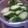 ナウちゃん's cooksnap of when they made 超簡単！塩レモンでキュウリの浅漬け.
