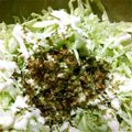 ちゃこ1978's cooksnap of when they made すぐ出来る！簡単おつまみ納豆♪Part2.