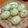鳴瀬まゆ's cooksnap of when they made うさぎのお月見団子.
