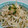 ☆めぇ☆ﾐ's cooksnap of when they made もやしと貝割れのごまだれ和え.