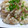 sarupi's cooksnap of when they made 簡単！炊飯器で炊きこまないさんまご飯.