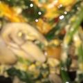 す1222's cooksnap of when they made 卵とほうれん草のスウィートチリ.
