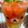 DJオナラワガス's cooksnap of when they made しゅわしゅわのミントゼリー.