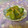 ミマト's cooksnap of when they made ☆茗荷ときゅうりの酢の物☆.