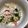 ダサコ's cooksnap of when they made もやしとわかめのナムル 中華サラダ.