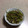 コッペパンしそむすめ's cooksnap of when they made 芋のつると舞茸の炒め煮.