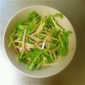いちご＆大福's cooksnap of when they made さっぱり♪もやしと水菜のカレー風味サラダ.