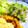 Ｍぱん's cooksnap of when they made もやしと胡瓜の和え物.